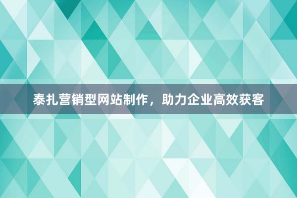 泰扎营销型网站制作，助力企业高效获客